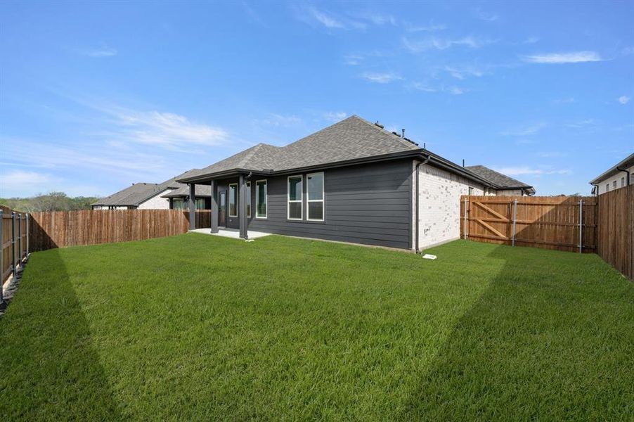 2401 Rams Horn- Back-1