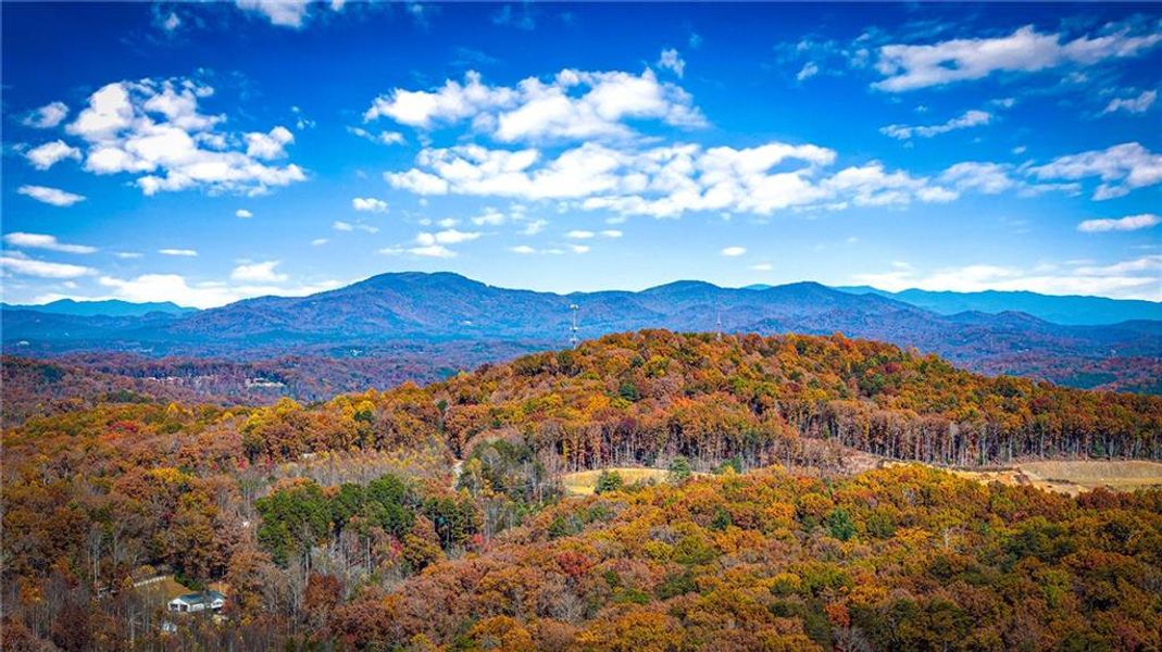 Natural landscape and outdoor views near  in Blue Ridge (Image 28).