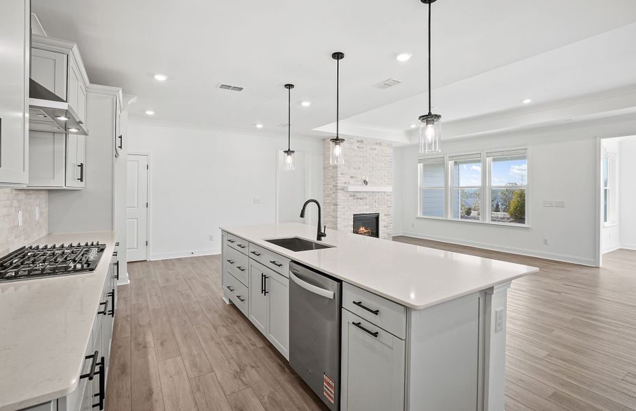 Furnished interior view inside a new home in Carolina Riverside, Belmont (Image 51).