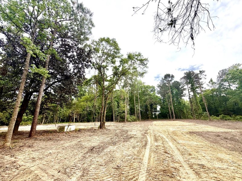 Natural landscape and outdoor views near  in St. George (Image 15).