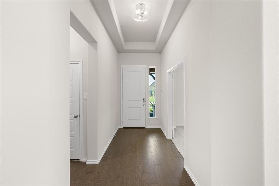 10345 Tapioca- Entry-1