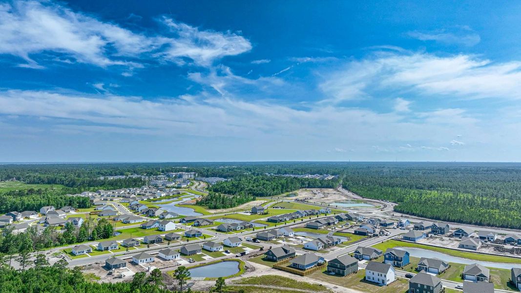 Image 9 representing the AISLE by D.R. Horton in The Pines at Blake Farm, Wilmington, NC.