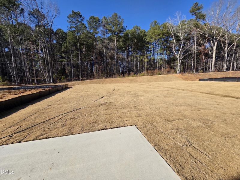 211 Pisgah Street_backayrd