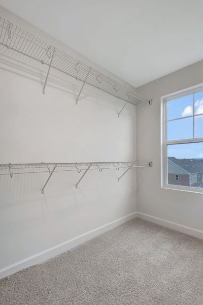 Spacious Walk In Closet in The Ingram