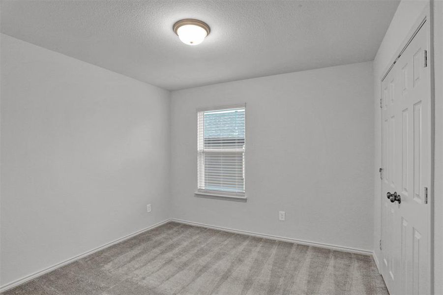 Room featuring light gray walls, textured carpet flooring, a single window with blinds, and a white paneled door with dark hardware