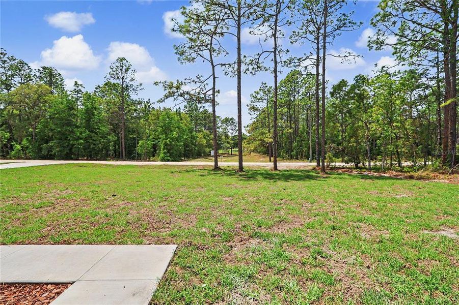 Natural landscape and outdoor views near  in Ocala (Image 31).