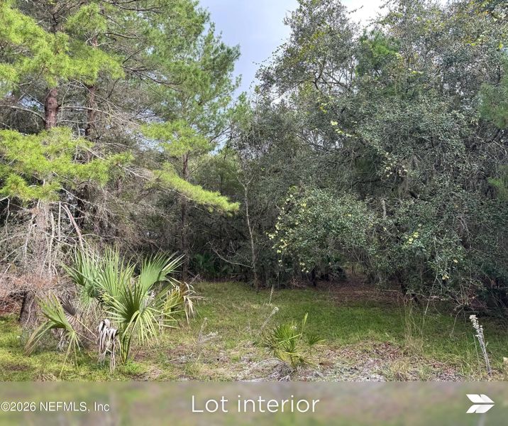 Natural landscape and outdoor views near  in St. Augustine (Image 33).