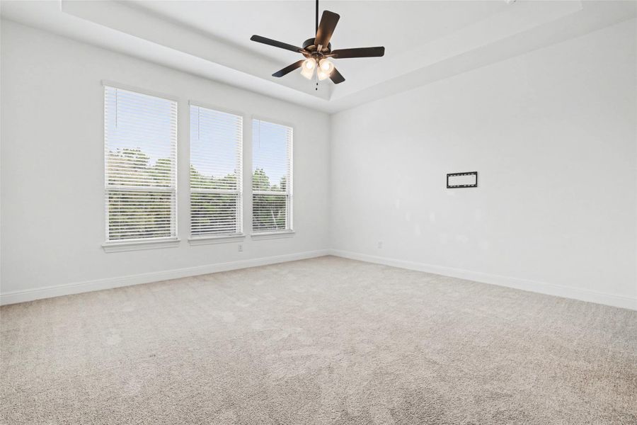 Carpeted spare room with a raised ceiling and a ceiling fan