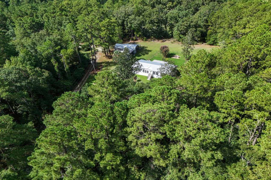 Natural landscape and outdoor views near  in Dorchester (Image 36).
