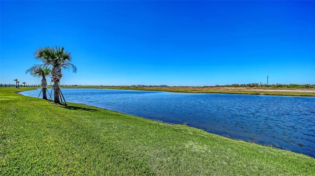 Natural landscape and outdoor views near  in Bradenton (Image 45).