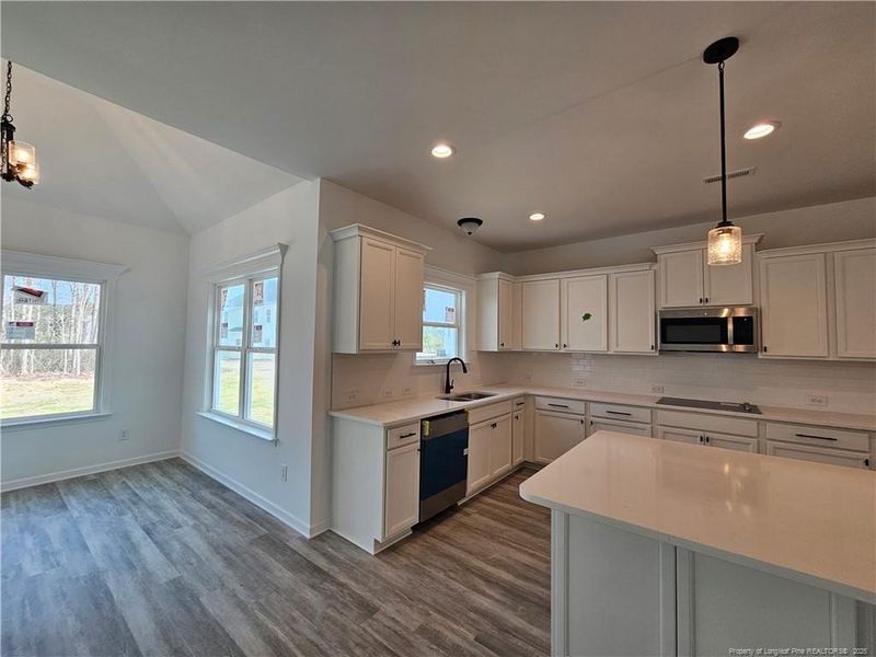 PICTURES ARE ALIKENESS!!