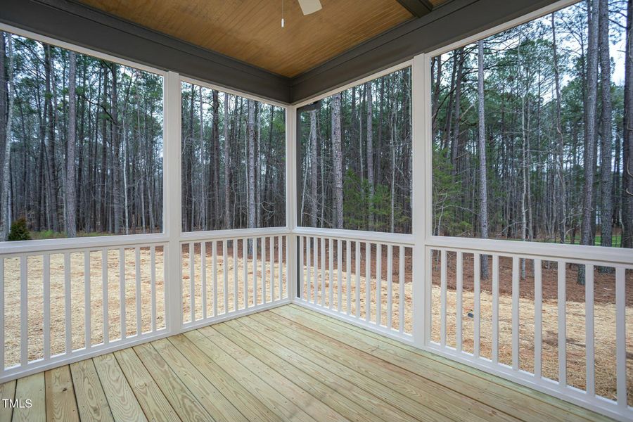 Screened Rear Porch