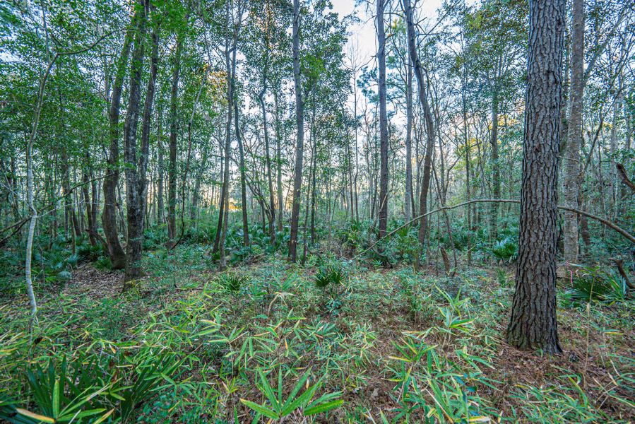 Natural landscape and outdoor views near in Dorchester (Image 17). Natural landscape and outdoor views near in Dorchester (Image 17).