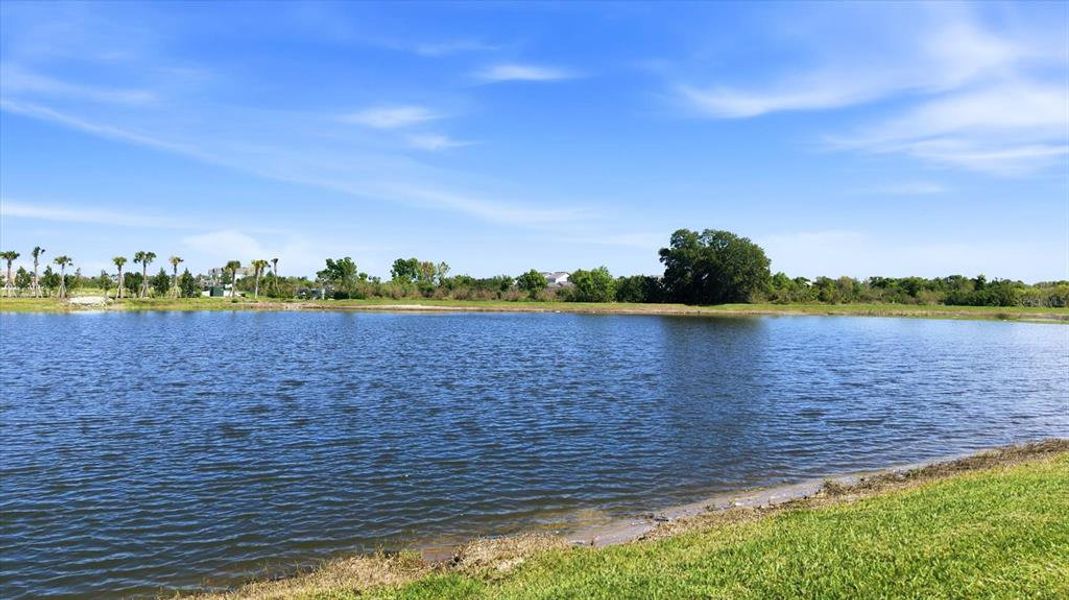Natural landscape and outdoor views near  in Sarasota (Image 56).