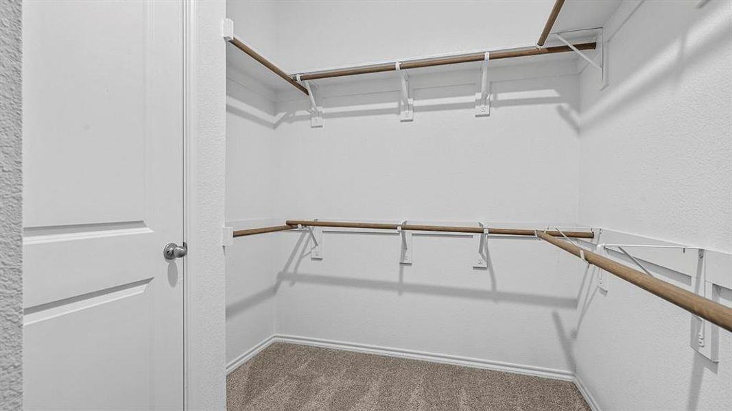 Walk in closet featuring dark carpet
