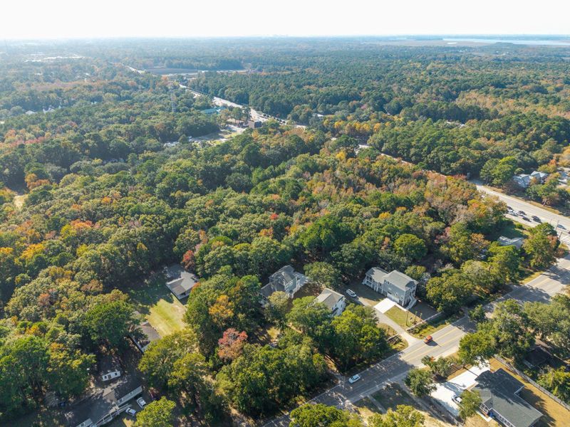 Natural landscape and outdoor views near  in Mount Pleasant (Image 87).
