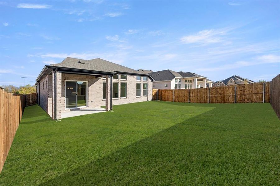 26_27. 1109 Birdsong - Back (2)