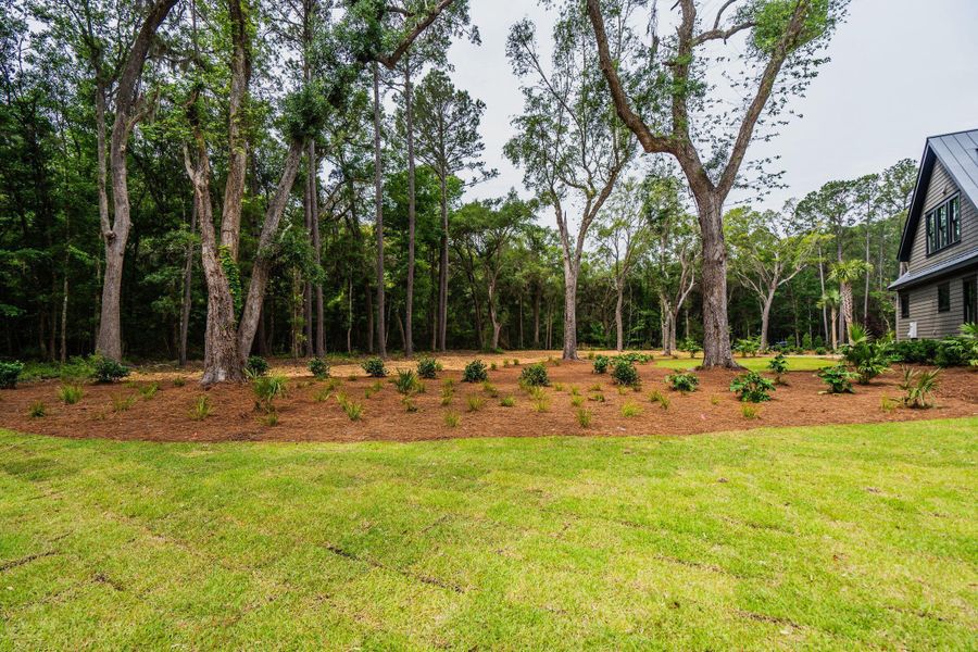 Natural landscape and outdoor views near  in Johns Island (Image 124).