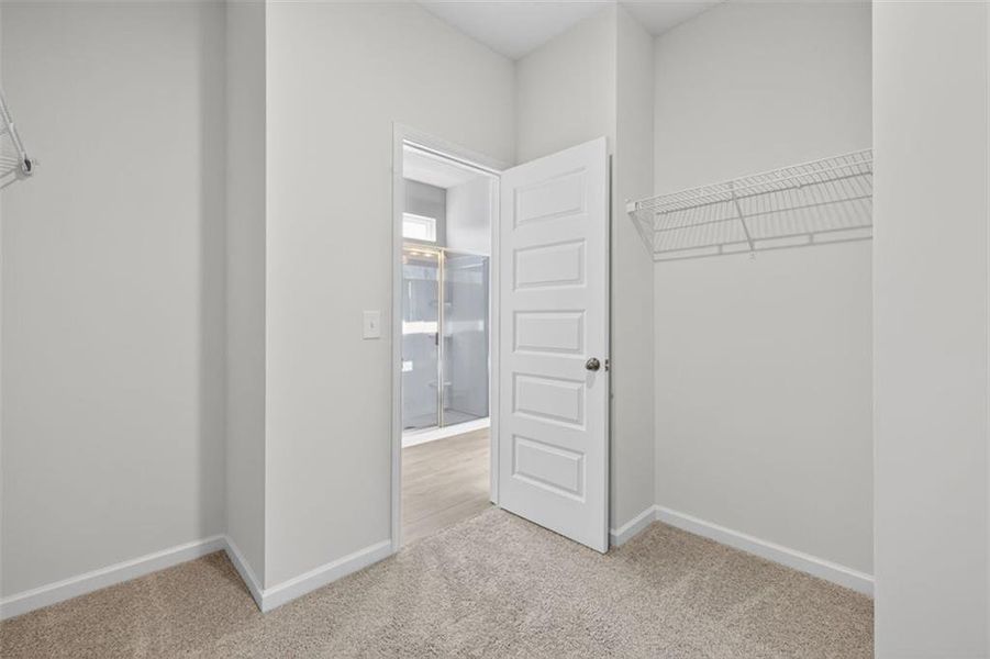 Spacious, unfurnished interior of a new home in Kingston Park, Kingston (Image 35).