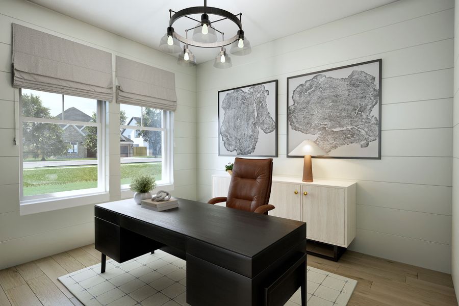 The Dahlia - Study The Dahlia - Study