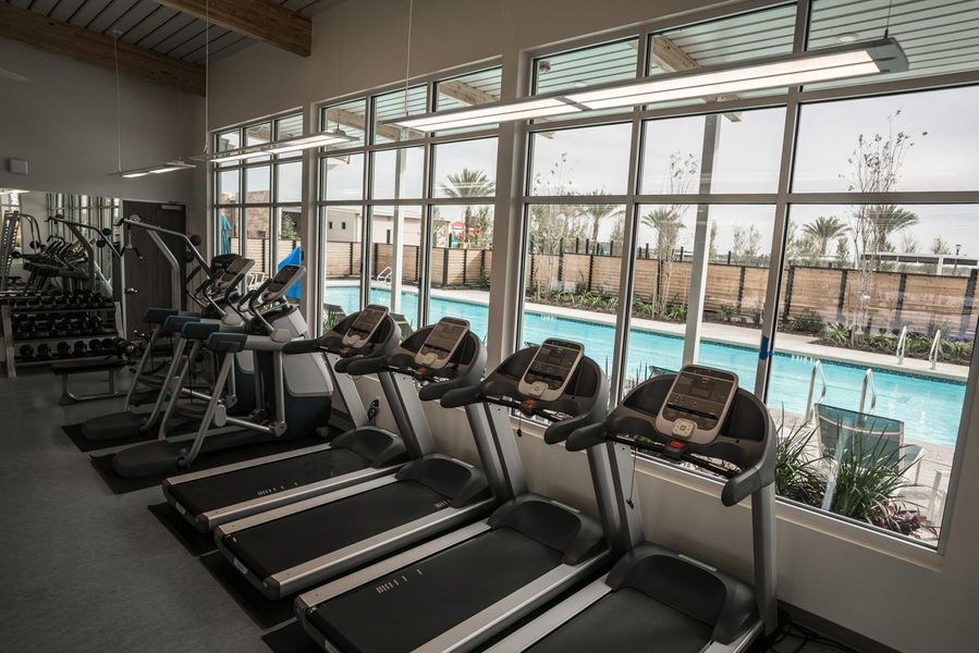 Community amenities in Meridiana, Manvel (Image 25). Community amenities in Meridiana, Manvel (Image 25).
