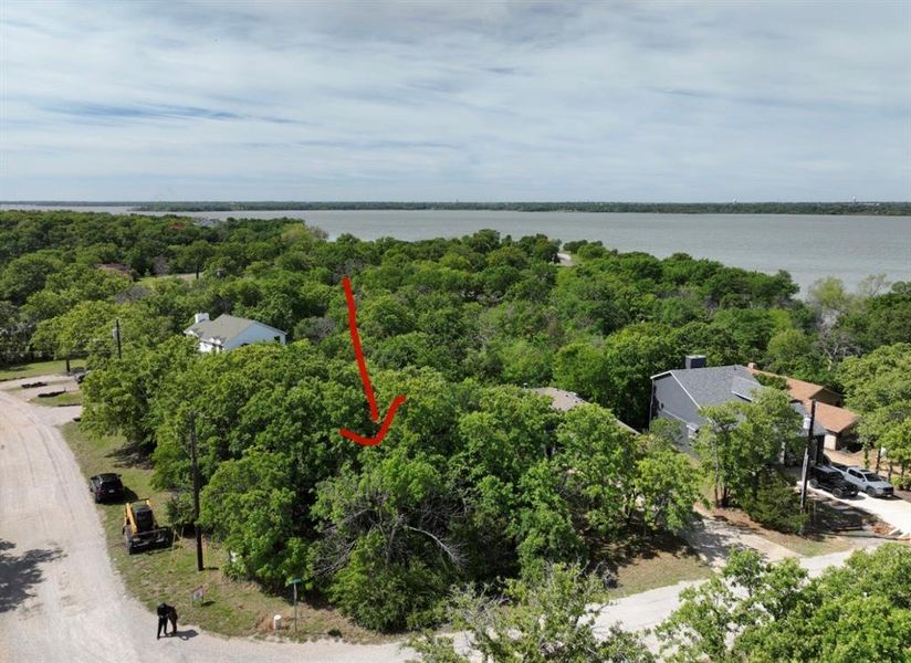 Wooded lot with mature trees Wooded lot with mature trees