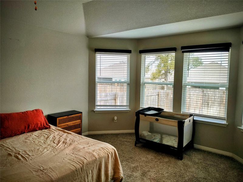 Bedroom featuring carpet and a lofted ceiling