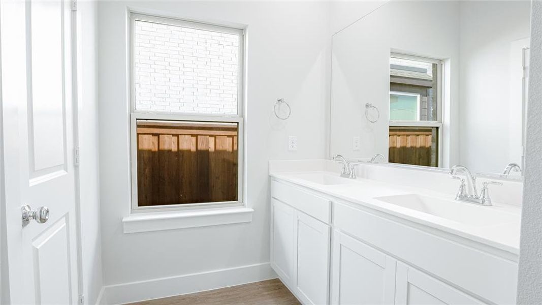 Bathroom with hardwood / wood-style floors, vanity, and a wealth of natural light