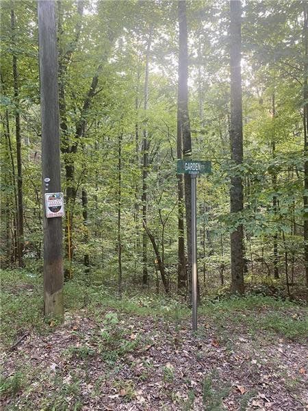 Natural landscape and outdoor views near  in Ranger (Image 8).