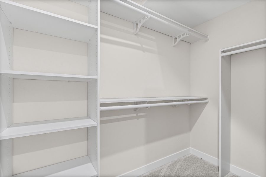 Spacious closet with carpet floors