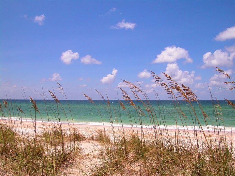 Natural landscape and outdoor views near  in Sarasota (Image 10).