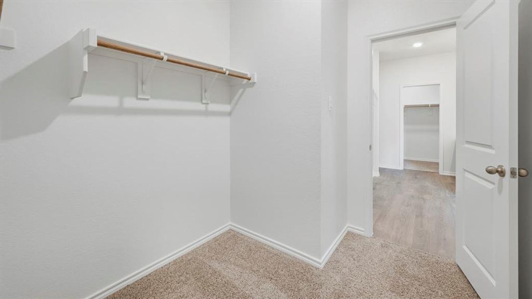Spacious closet featuring carpet