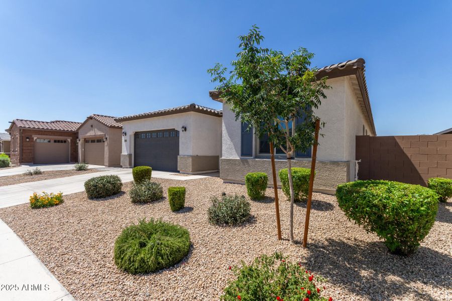 04 - McNeil 3832 04 - McNeil 3832