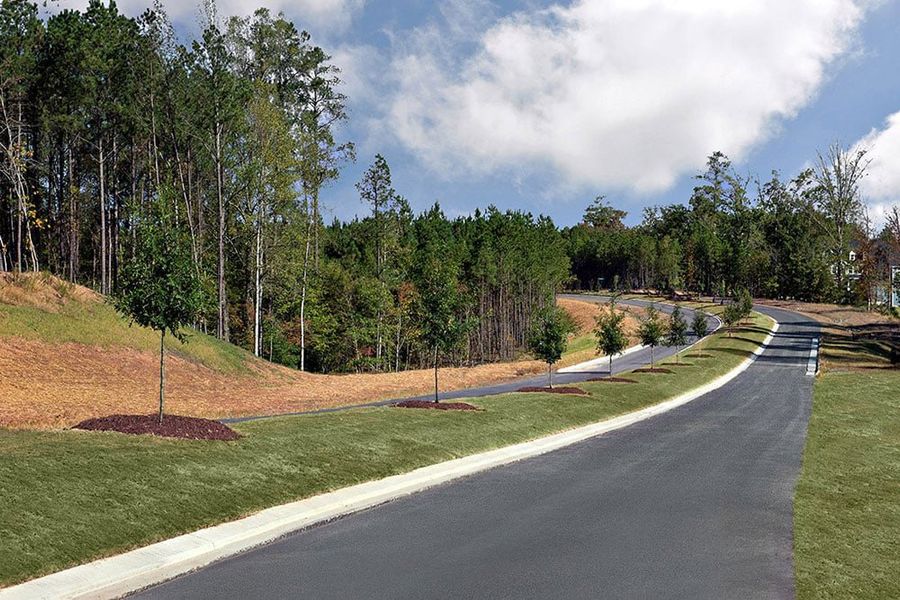 Natural landscape and outdoor views near Bridgeberry in Holly Springs (Image 46).
