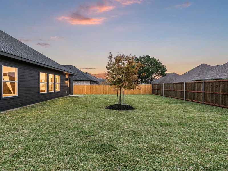 View of yard at dusk