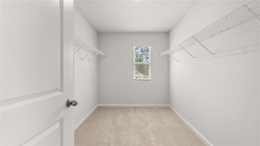 Spacious, unfurnished interior of a new home in Shoal Creek, Hampton (Image 11).