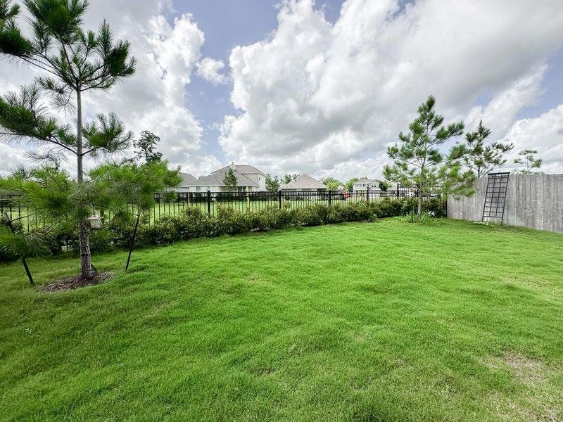 Beautiful back yard Beautiful back yard
