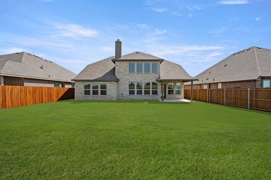 3_35 Harrier- Back-2 3_35 Harrier- Back-2