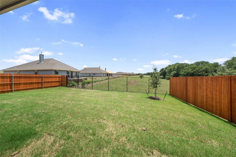 View of fenced backyard