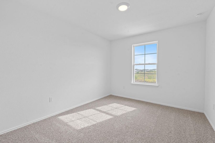 Empty room with carpet and baseboards Empty room with carpet and baseboards
