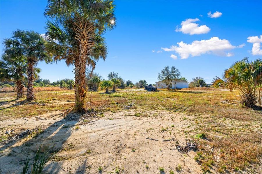 Natural landscape and outdoor views near  in Okeechobee (Image 41).