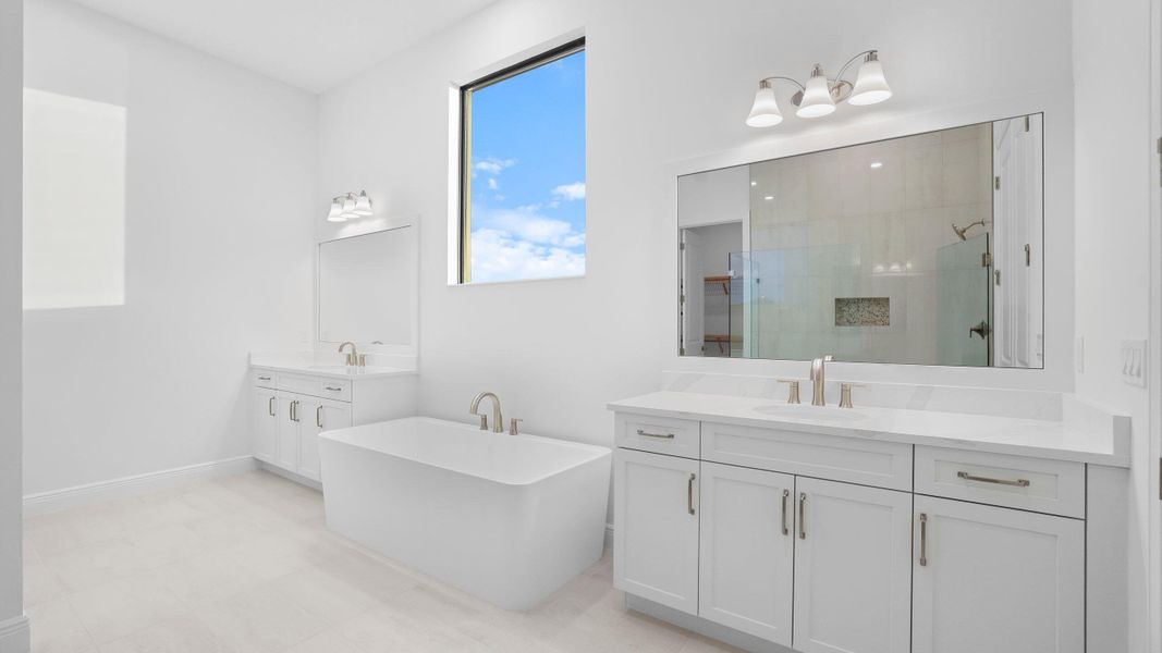 Owner's Bath