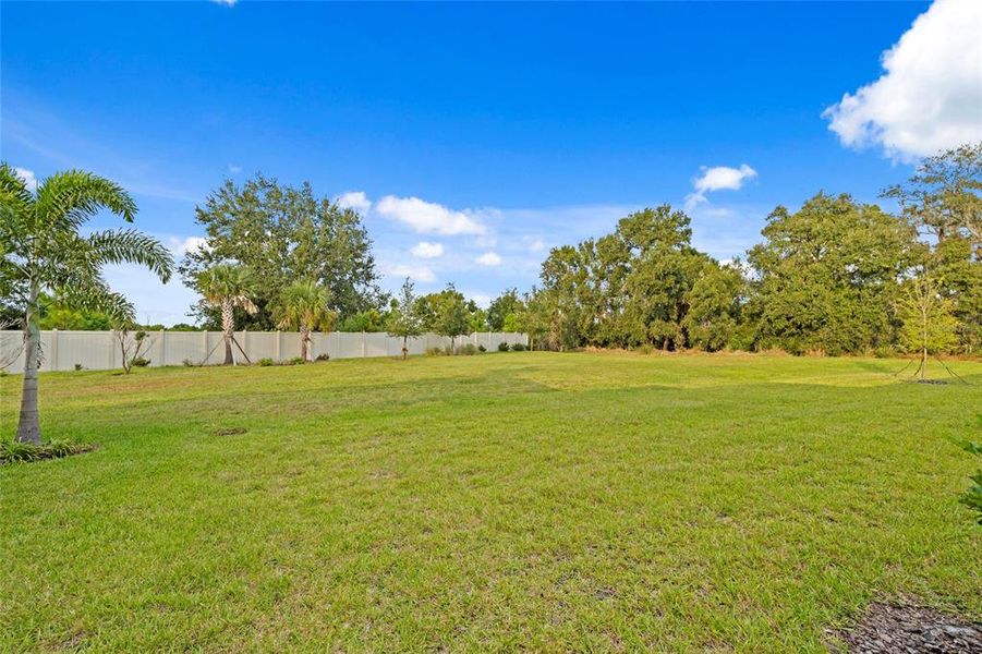 Natural landscape and outdoor views near  in Palmetto (Image 40).