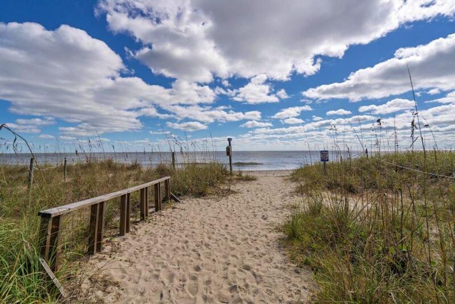 Natural landscape and outdoor views near  in Edisto Beach (Image 79).