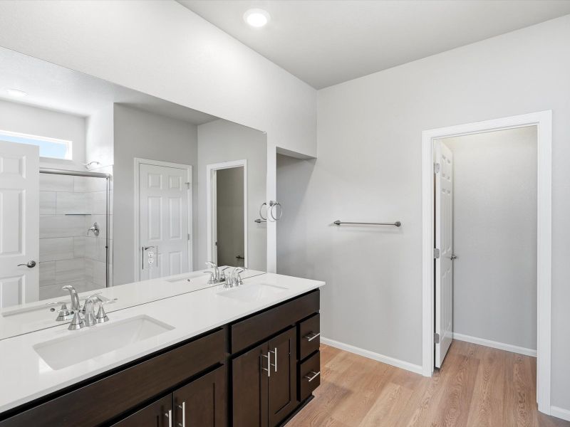Furnished interior view inside a new home in Poudre Heights: The Alpine Collection, Windsor (Image 6).