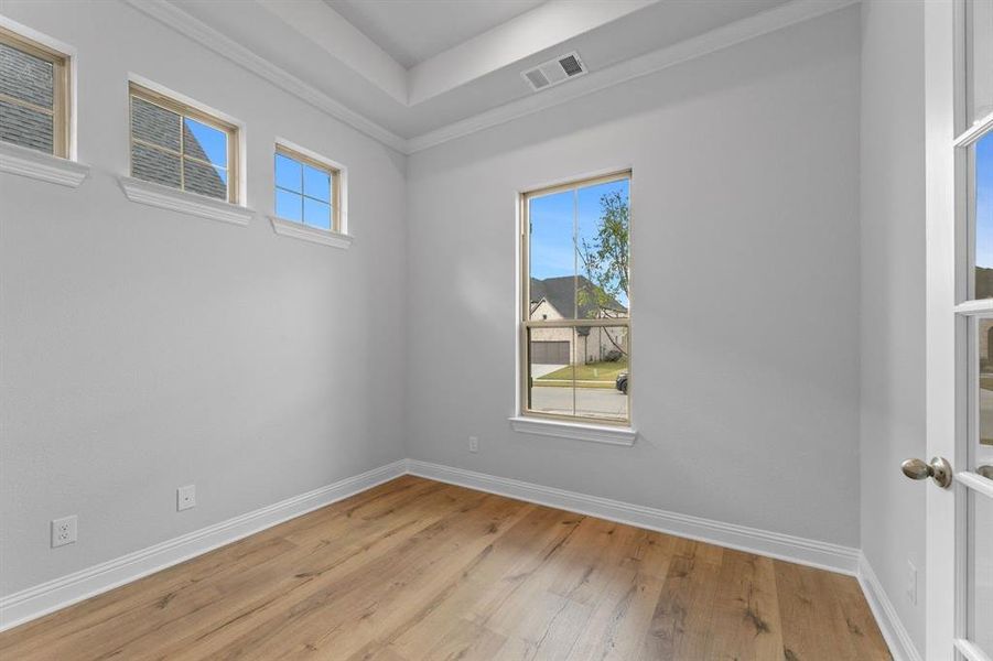 DAL_Painted Tree_Haskell II_4005 Gervais Drive (3)