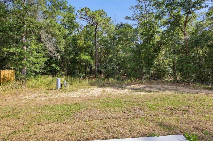 Natural landscape and outdoor views near in Ocala (Image 32). Natural landscape and outdoor views near in Ocala (Image 32).