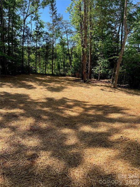 Natural landscape and outdoor views near  in Statesville (Image 19).