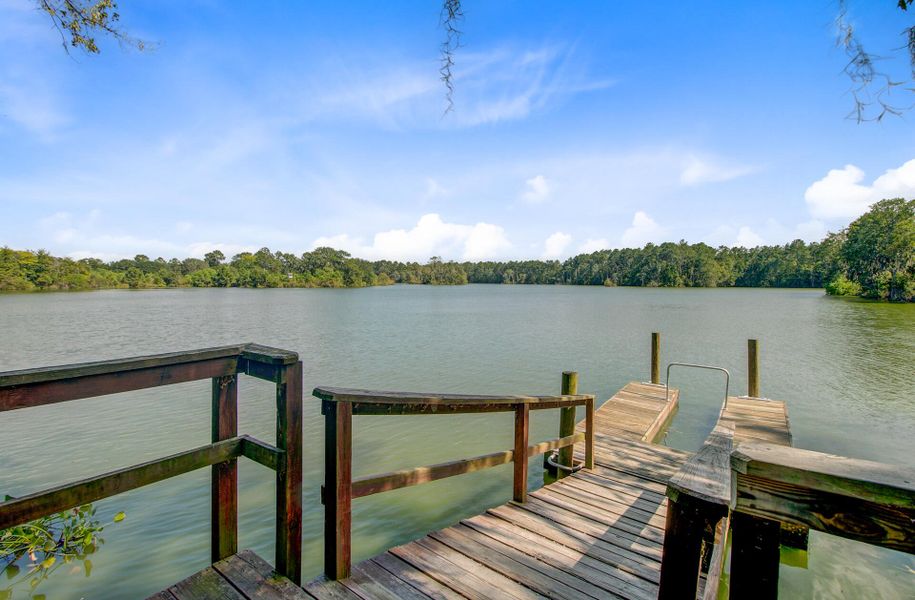 Natural landscape and outdoor views near Sweetgrass at Summers Corner in Summerville (Image 73).
