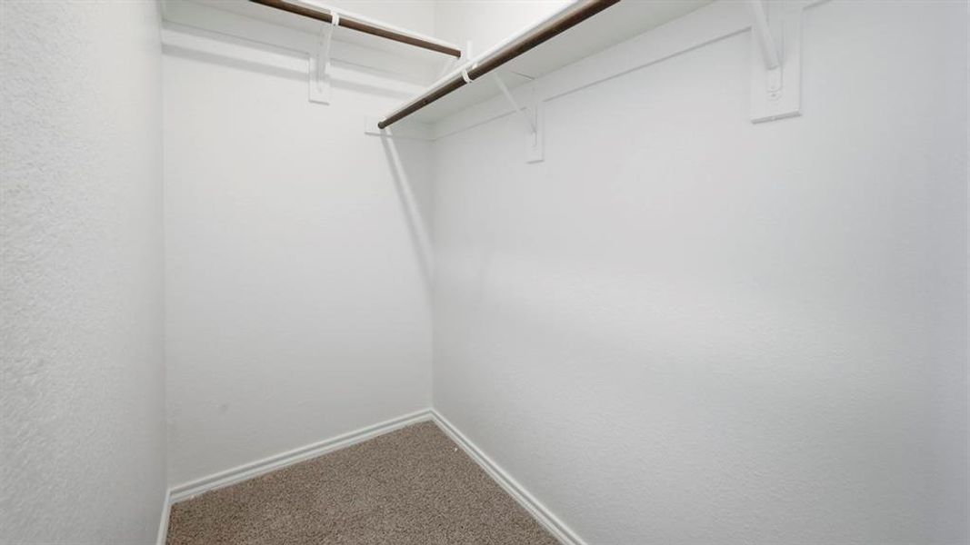 Spacious closet featuring carpet flooring Spacious closet featuring carpet flooring
